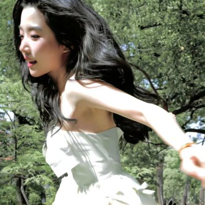 完美的独裁国家